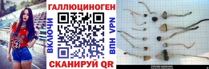 Купить где  Северодвинск  Галлюциногенные грибы прущие грибы 